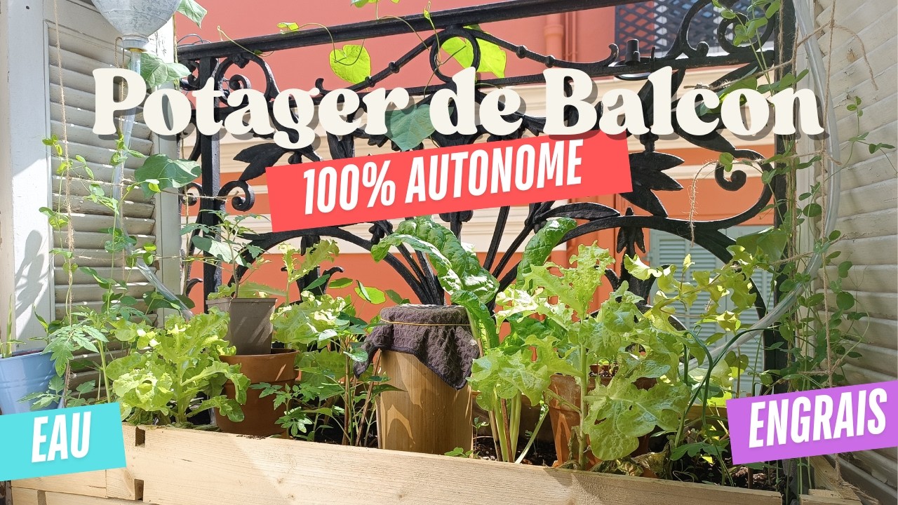 J&rsquo;ai Construit un Potager AUTONOME sur Mon Balcon (Sans Arrosage, Sans Engrais)