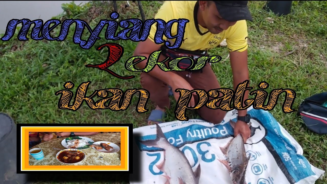 menyiang ikan 🐟 patin buat masak tempoyak #26