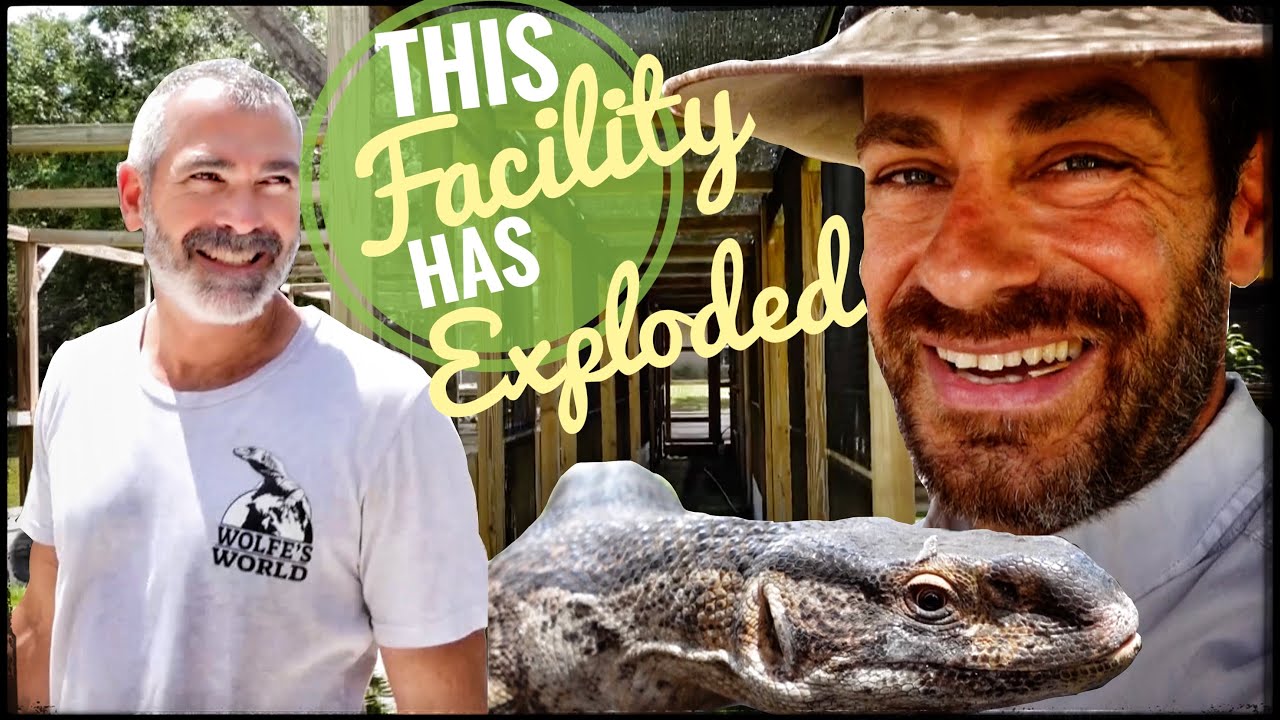 I can't believe how many lizards Jerry Wolfe has!