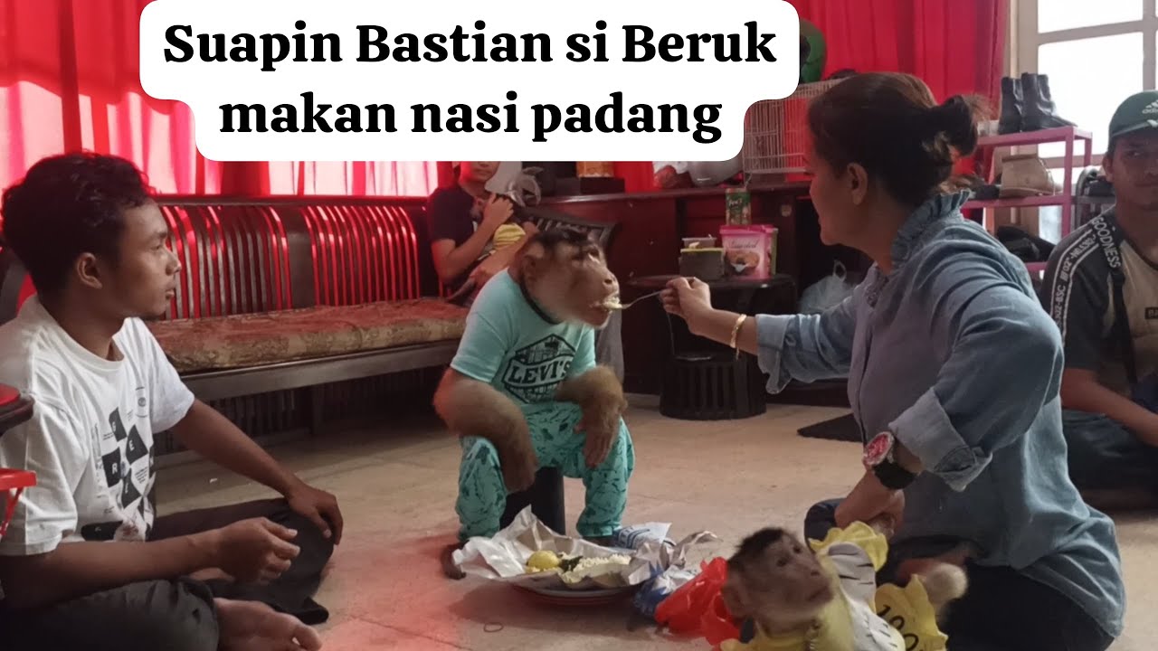 Bastian si beruk makan nasi padang