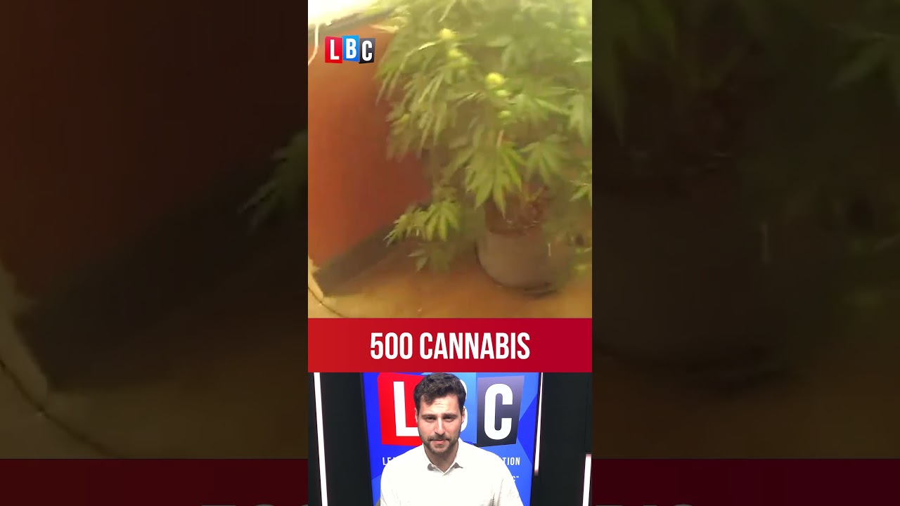 &pound;500k cannabis farm discovered under old pub