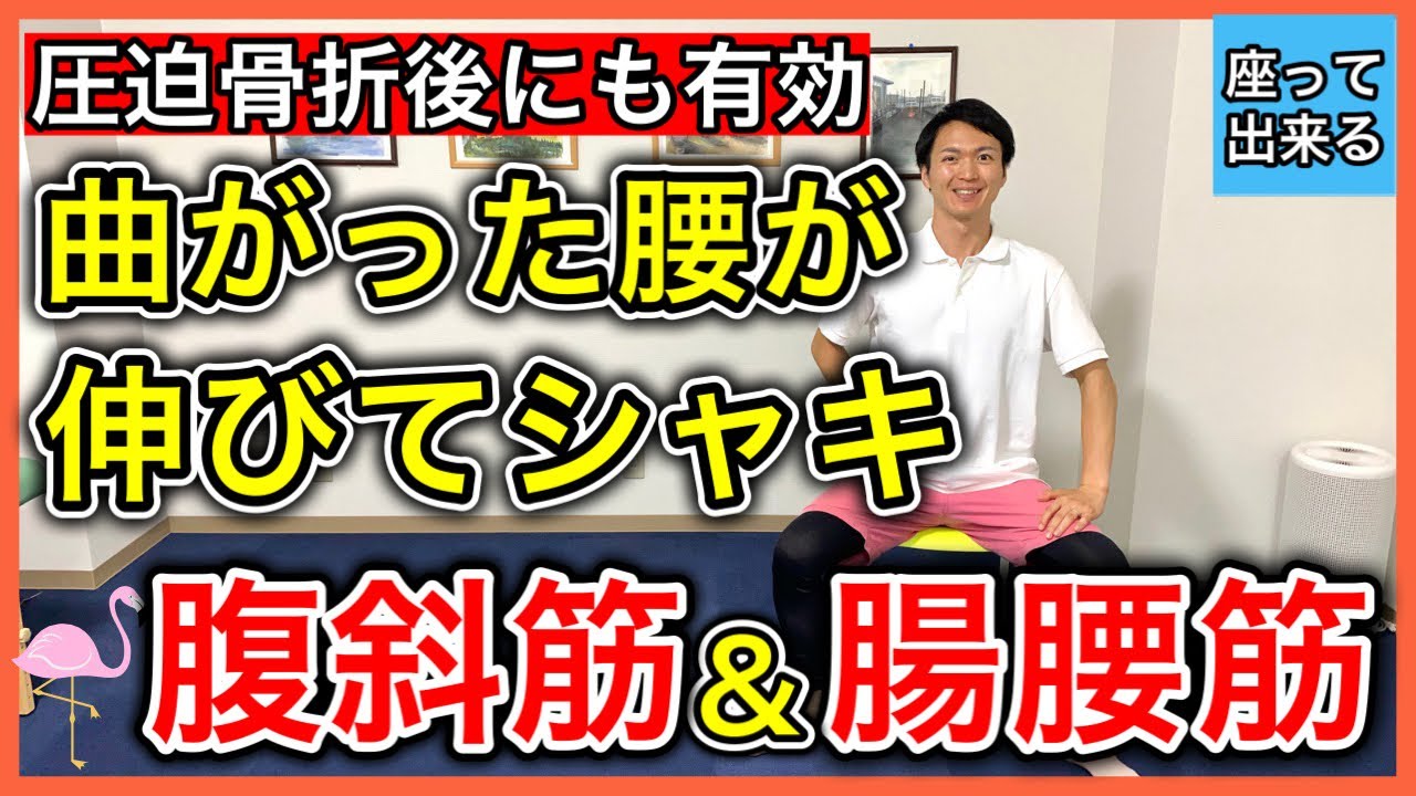 【第二のコルセット】圧迫骨折後の痛みや姿勢不良解消に欠かす事の出来ない腹斜筋と腸腰筋の椅子トレーニング