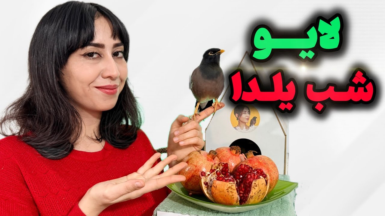 شب یلدا مبارک ❤️🍉! دور هم شعرخوندیمو فال گرفتیم☺️