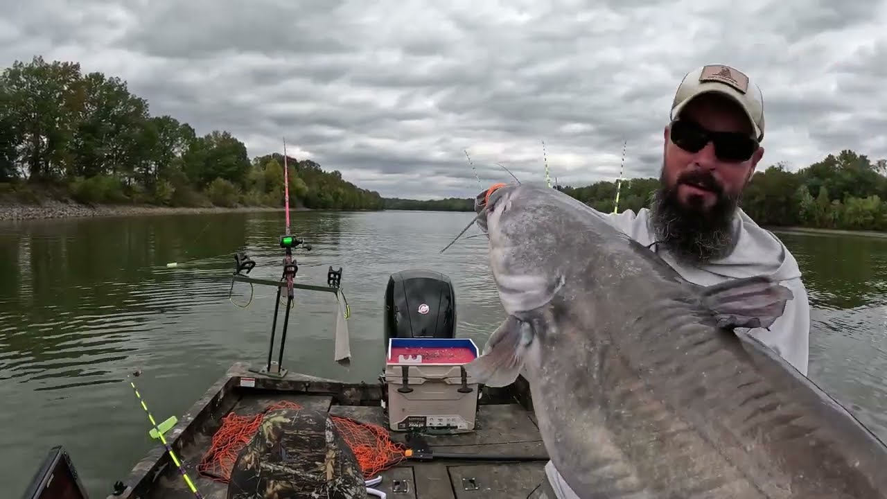 Hook Quest, Whisker Seeker Triple Threat