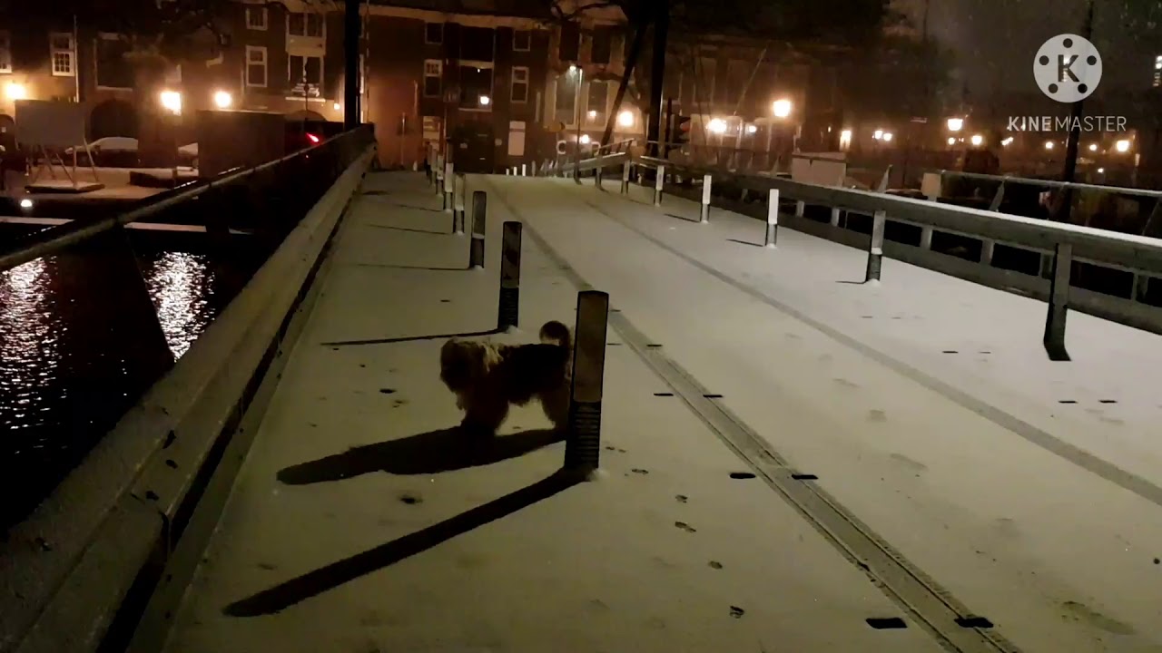 Henrique in winter 2021 deel 1