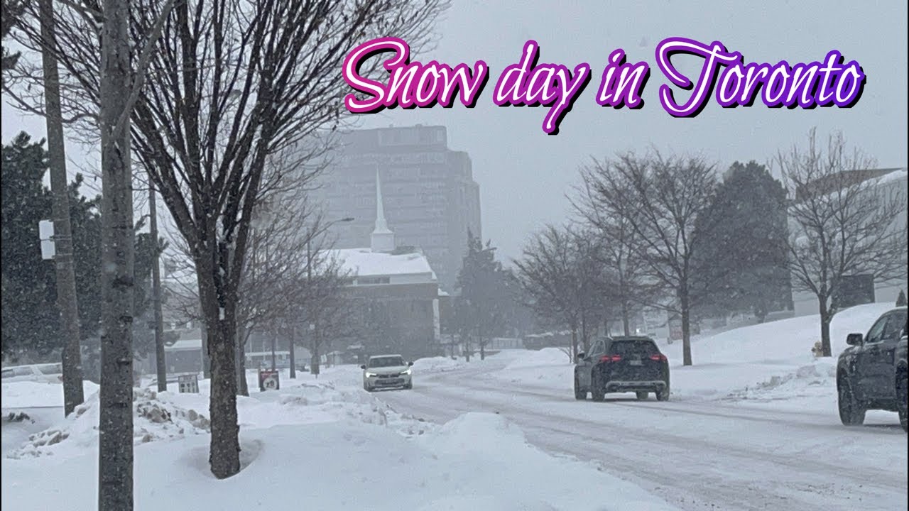 A snowy Wednesday in Toronto