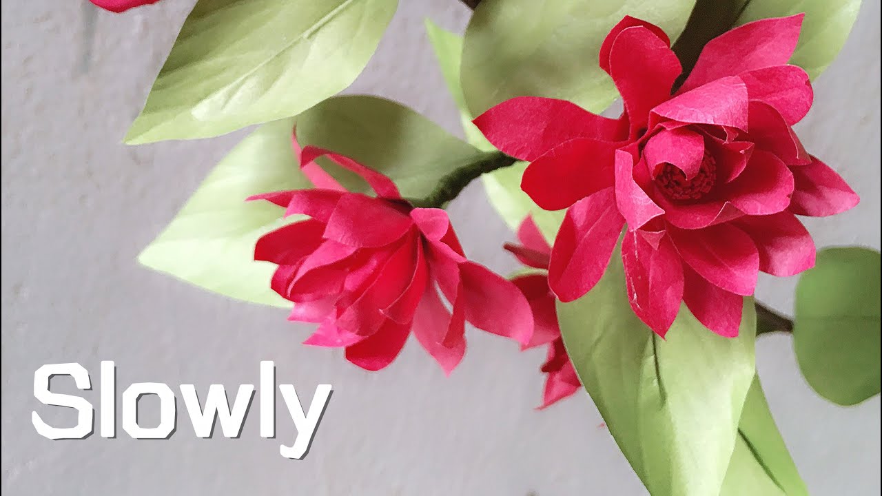 ABC TV | Как сделать цветок Calycanthus Floridus с помощью пунша формы(медленно)