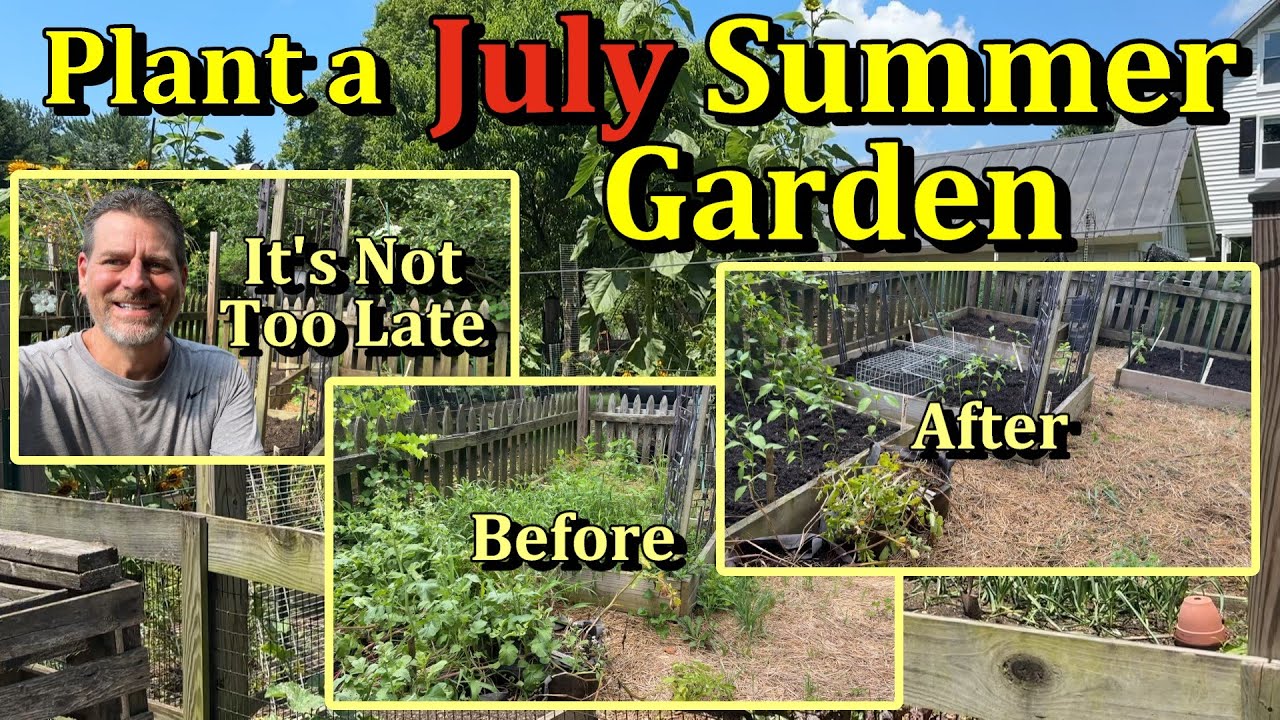 How to Start & Plant a Summer Garden in July (Build a Garden Anytime!)