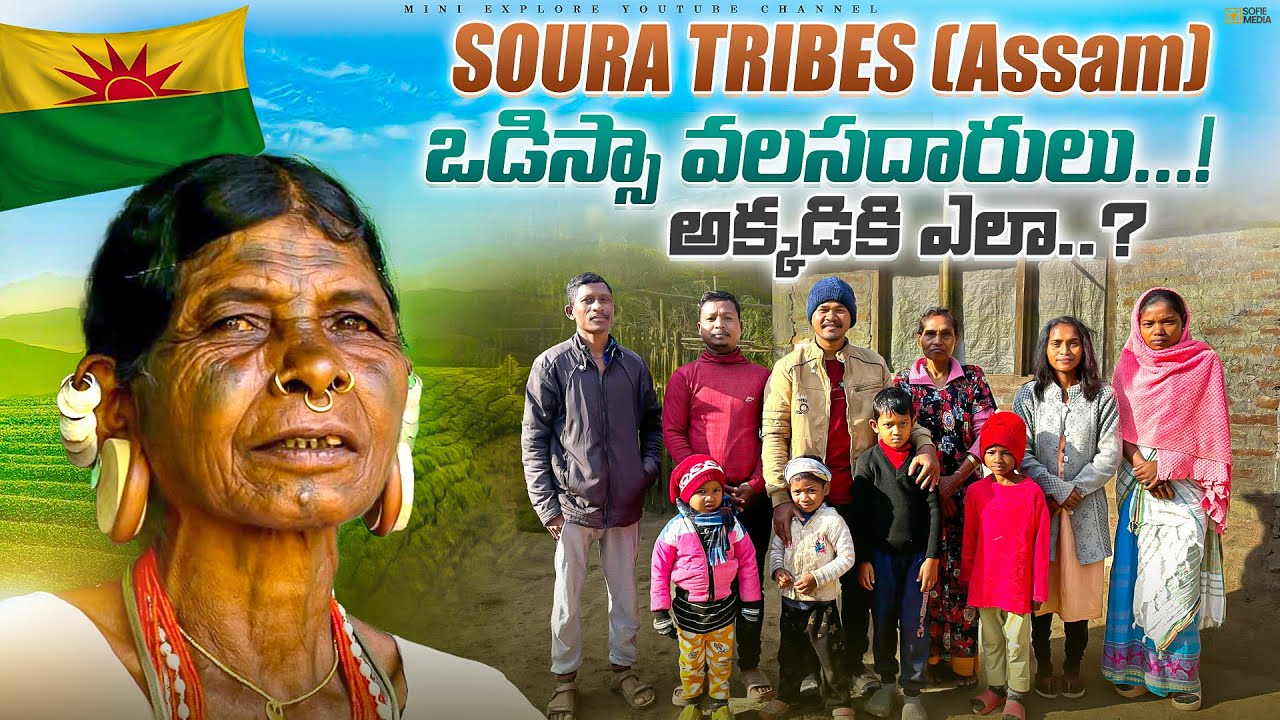 How did the SOURA TRIBES come to ASSAM?_Odisha to Northeast Migration!