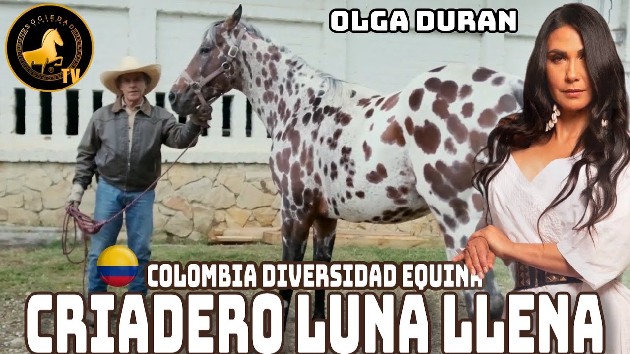 CRIADERO LUNA LLENA CON OLGA DURÁN POR SOCIEDAD ECUESTRE COLOMBIA.