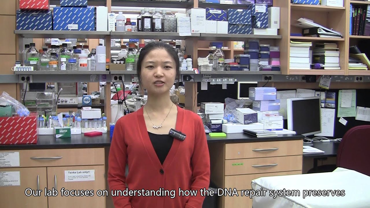 Research : Molecular and Cellular Biology
