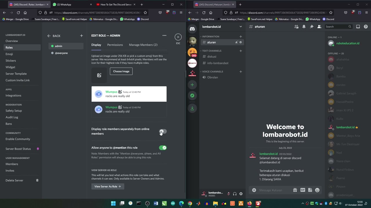 #shorts Discord Crown Not Showing Up