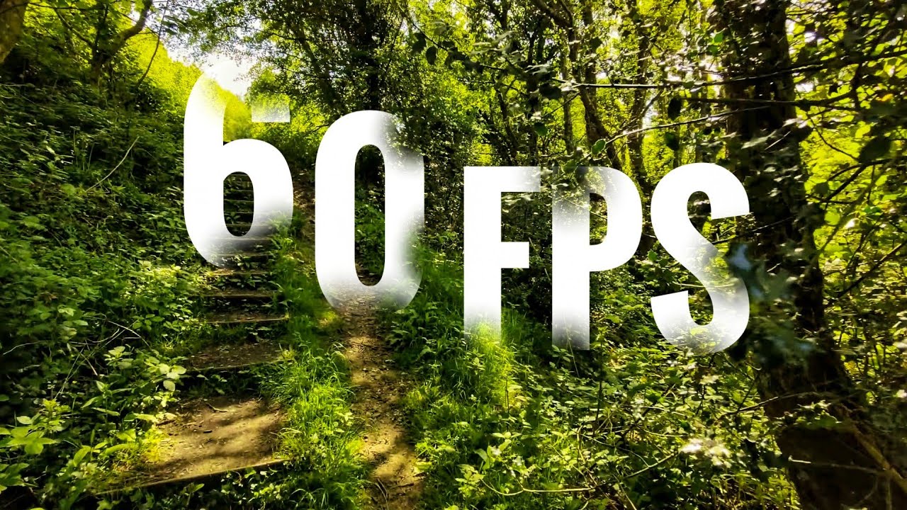 Oppo Find X5 - 4K@60fps Video Test!