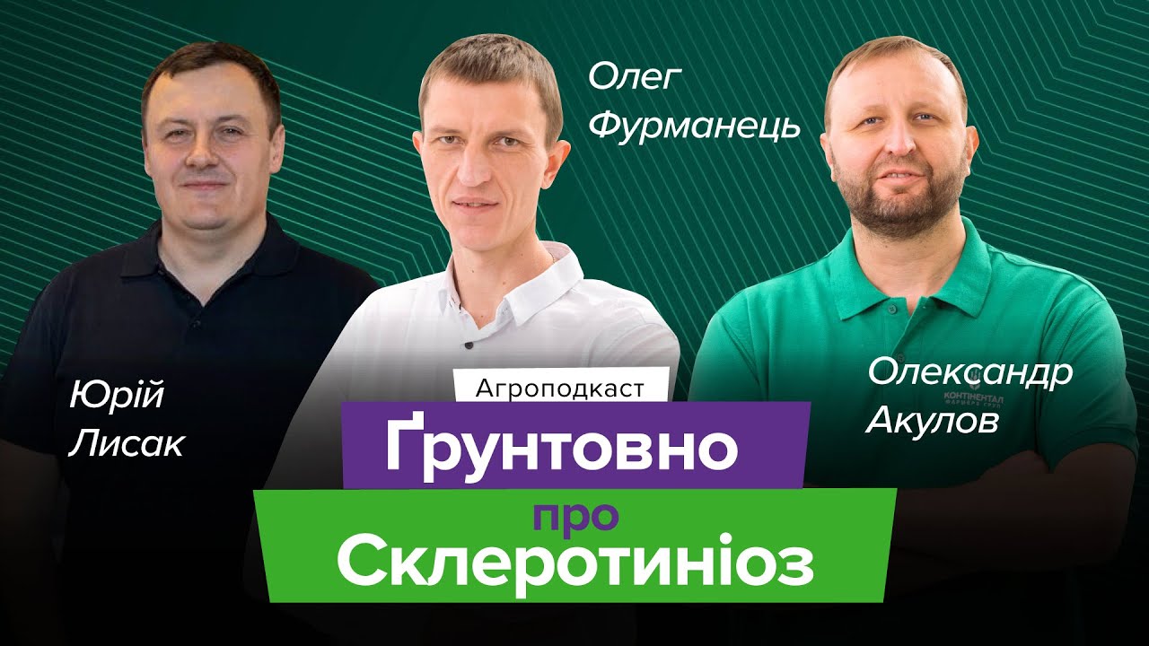 Склеротиніоз: загрози, симптоми, методи боротьби