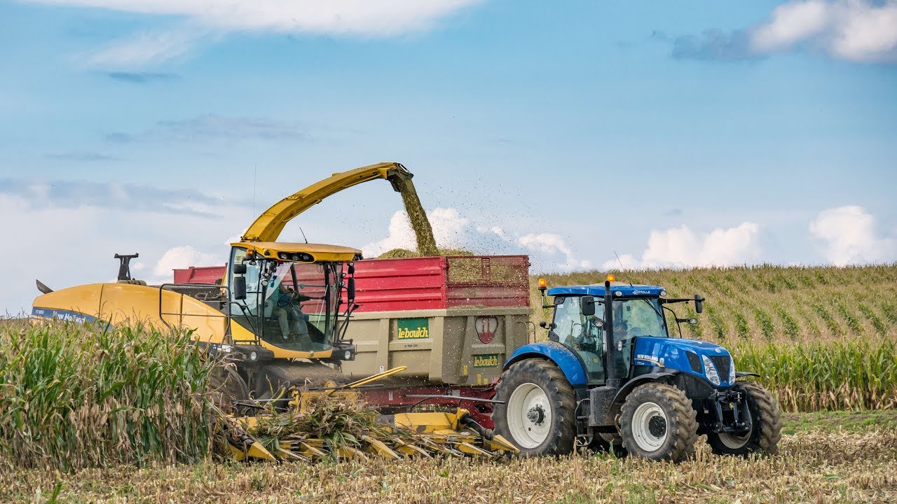 Ensilage de ma&iuml;s en New Holland FR 9050
