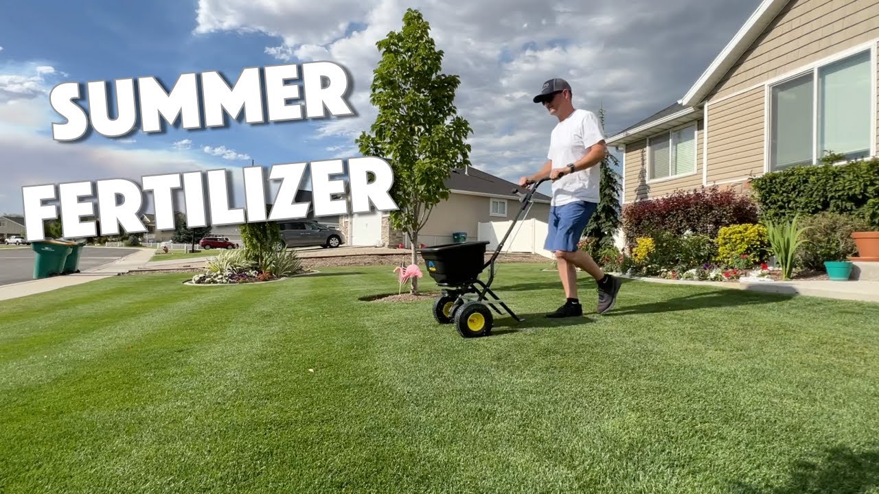 IDEAL SUMMER FERTILIZER For Northern Lawns