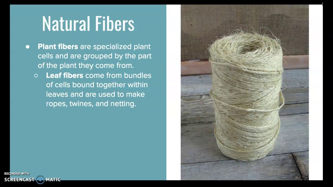 Forensic Science: Ch. 4 Lect. 2 Natural vs. Synthetic Fibers
