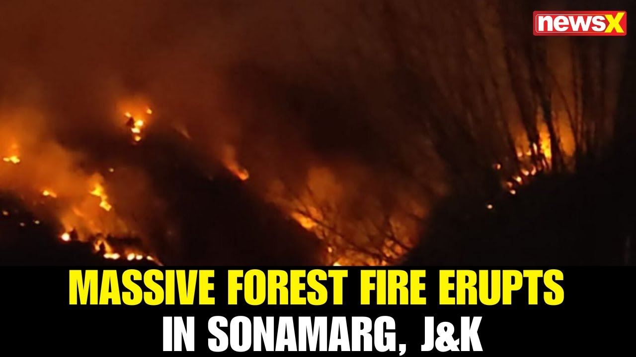 J&K | Massive Forest Fire Breaks Out in Sonamarg | Ganderbal Officials Rush to Contain Blaze
