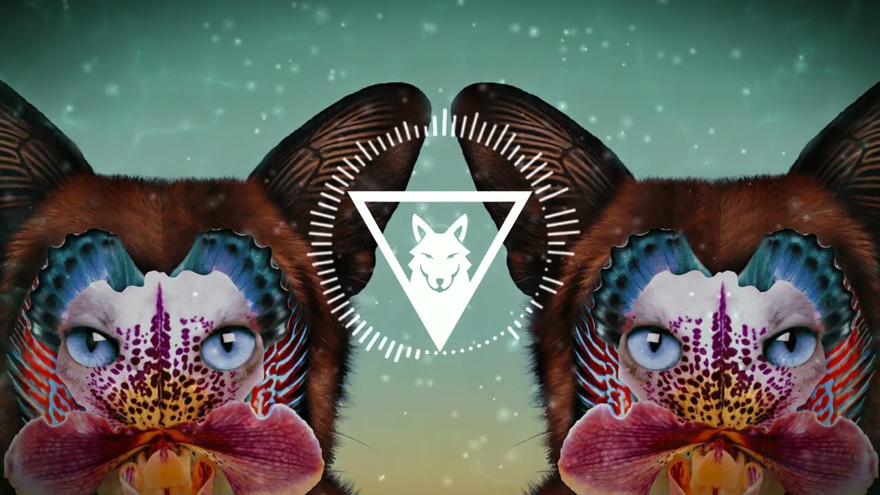 Galantis - No Money (Kaiiris Remix)