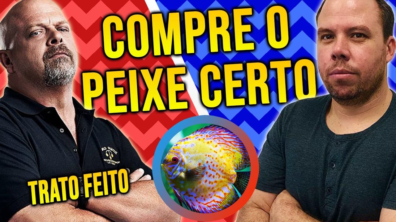 DICAS PARA COMPRAR ACARÁ DISCO