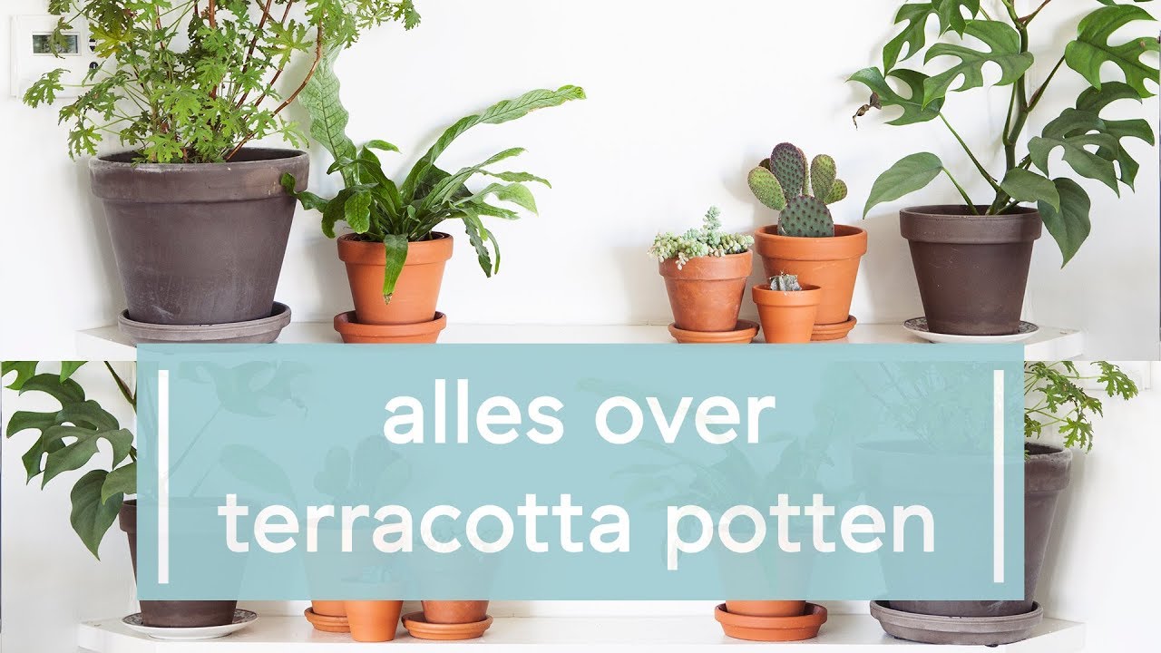 Alles over terracotta potten