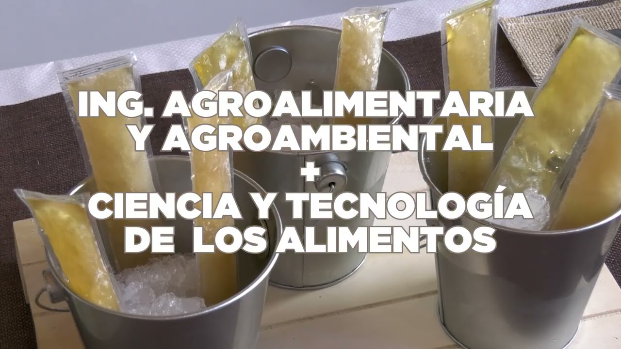 UMH TV - Oferta acad&eacute;mica del curso 2025/2026