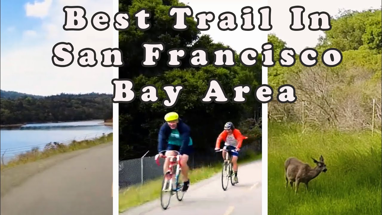 Bike Ride at The Number One Trail In San Francisco Bay Area  | California (Beginner Friendly)