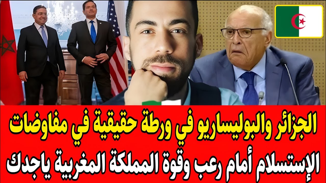 شوقي بن زهرة يفـ.ـجرها الجزائر والبوليساريو في ورطة حقيقية في مفاوضات الإستسلام أمام رعب وقوة المغرب