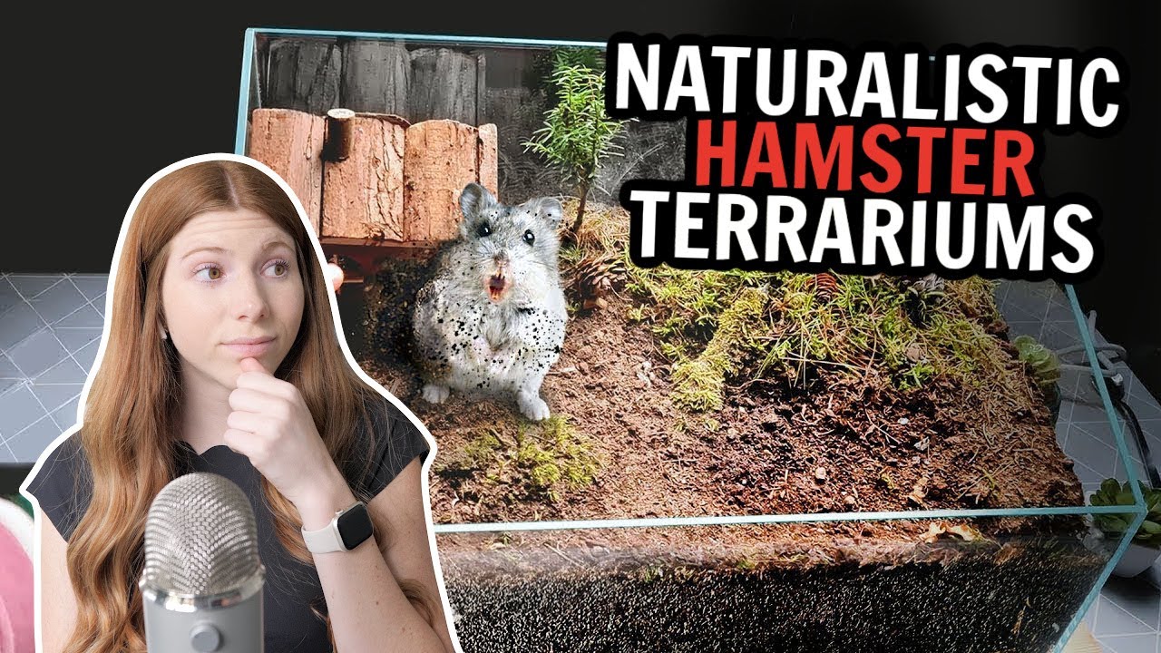 My THOUGHTS on Naturalistic Hamster Terrariums