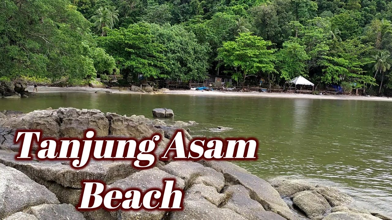 Escape The Pandemic Area (II): Awesome Sea View Beach + Coffee & Brunch + Shade Under The Tree Relax