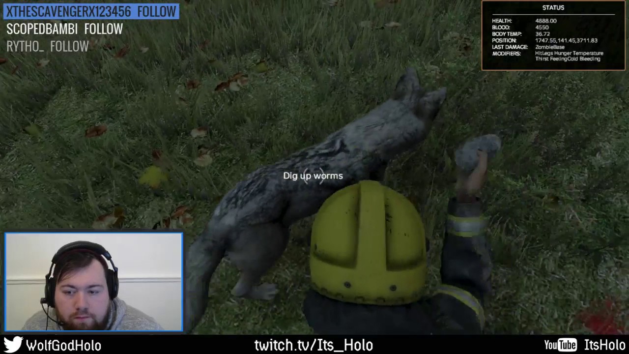DayZ .61 | Killing a wolf with a rock | ItsHolo