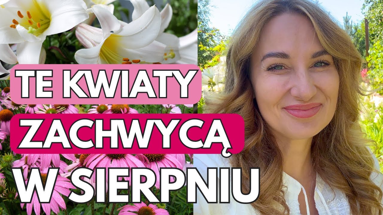 OGRÓD W SIERPNIU - SPACER PO OGRODZIE PEŁNYM JEŻÓWEK, MIECZYKÓW, LILII