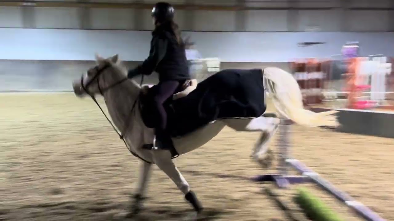 “Poppy” doing a gymnastic with child rider 