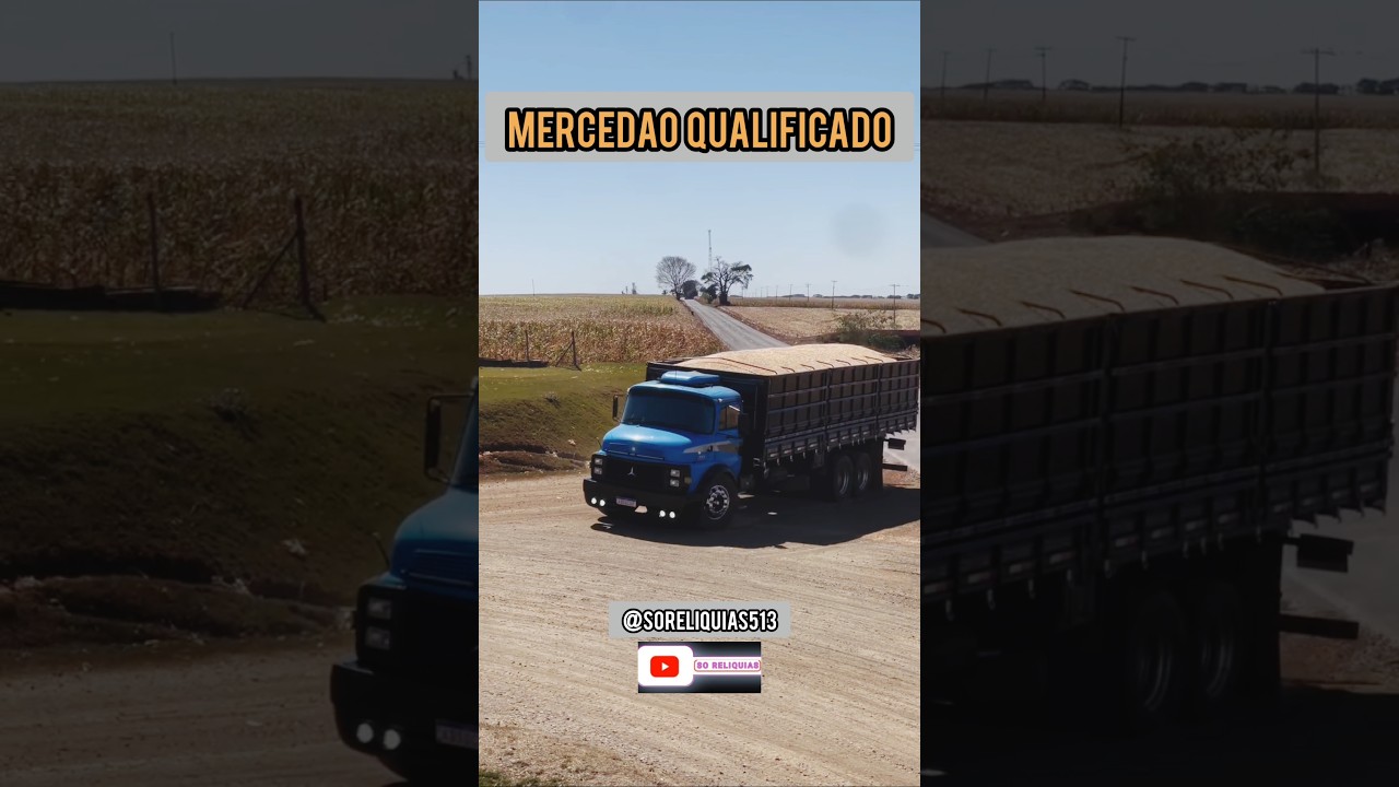 MERCEDES BENZ QUALIFICADO #caminhao #automobile #caminhoneiro #mercedes #shorts #graneleiro #top