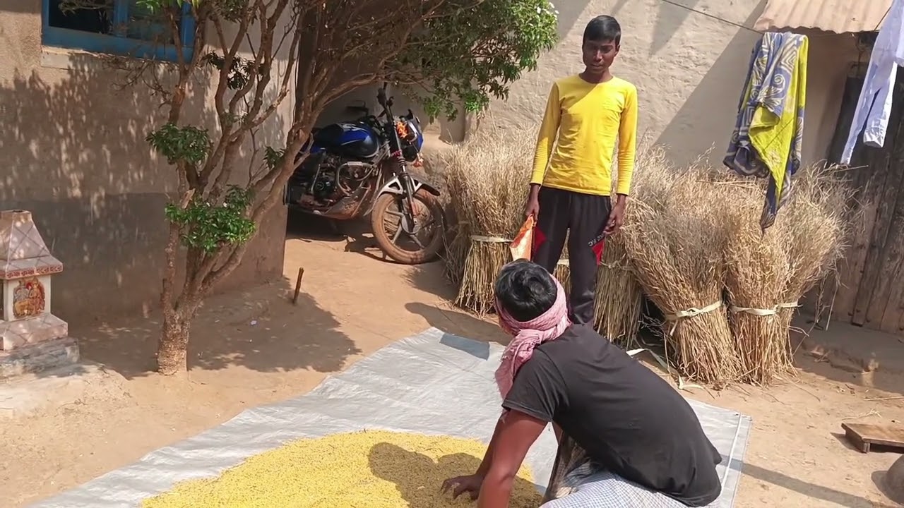 বেকার ভাতা।।  সামাজিক ভিডিও।।