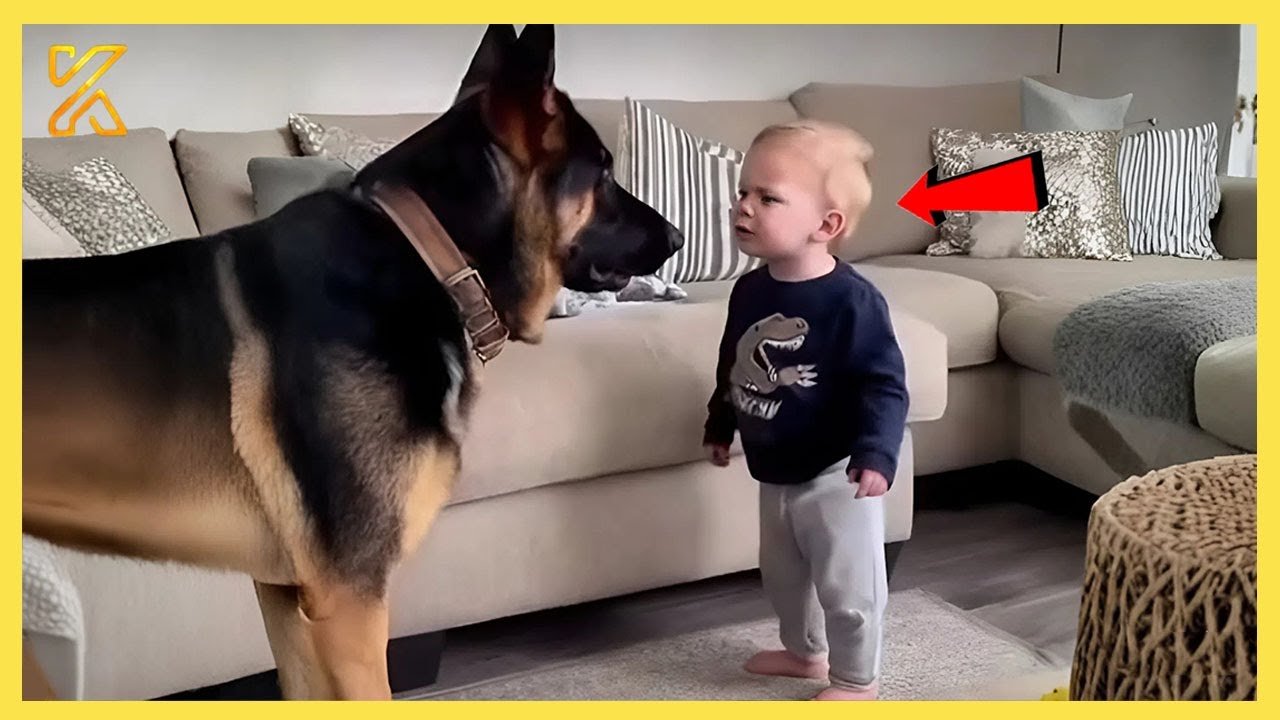 🐶👶 When Your Baby and Dog Have a Whole Secret Conversation 🤣 Cute Babies and Animals Compilation