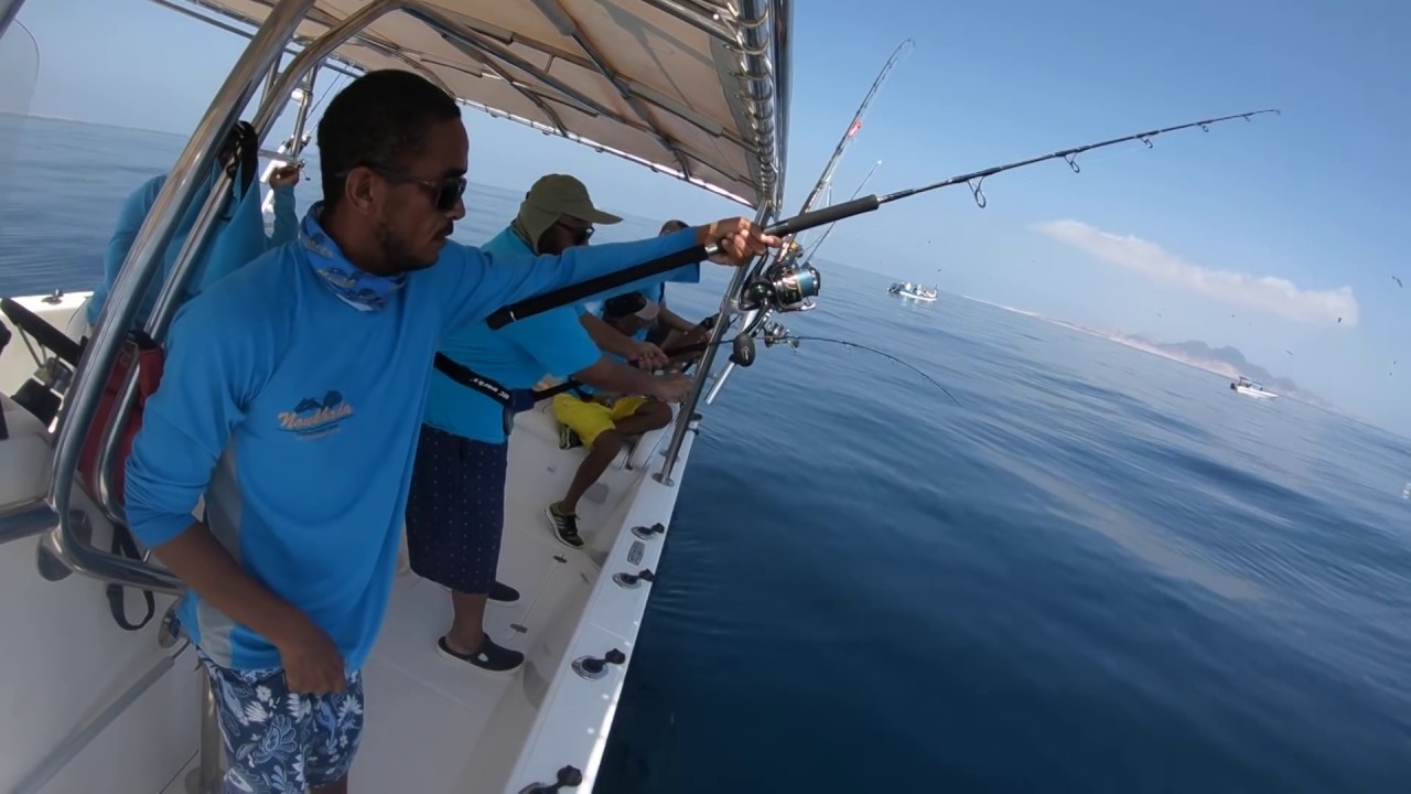 Amberjack jigging in oman
