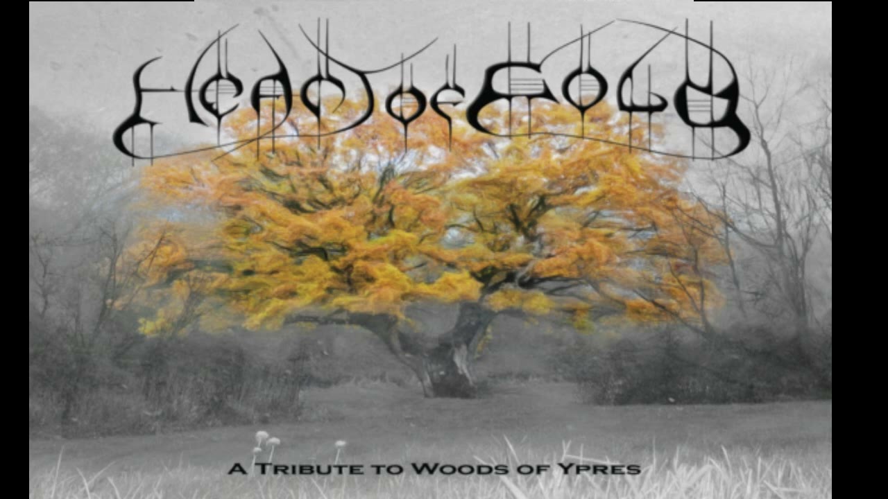 Kuhrzarth - Heart of Gold A Tribute to Woods of Ypres - Finality