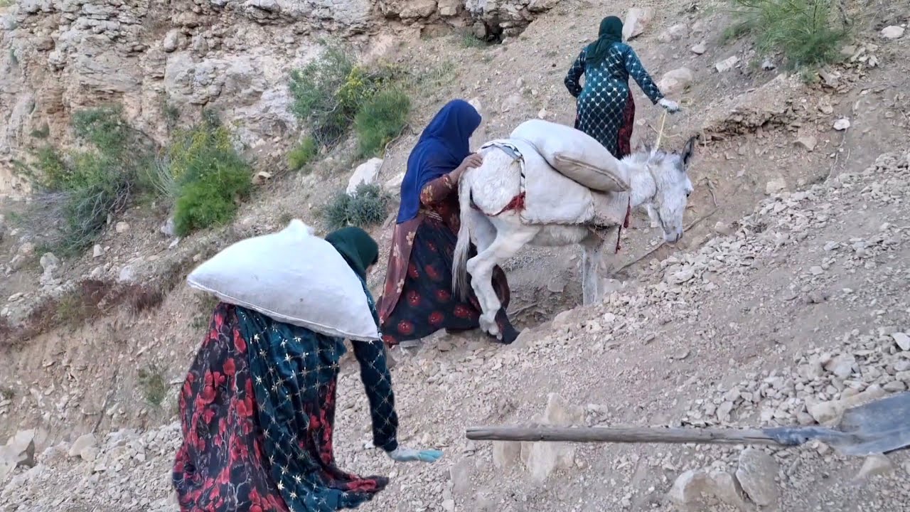 A Hard and Heartbreaking Day in the Life of Nomadic Women in Iran’s Harsh Mountains