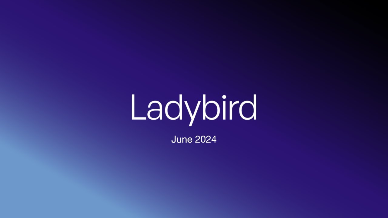 Ladybird browser update (June 2024)