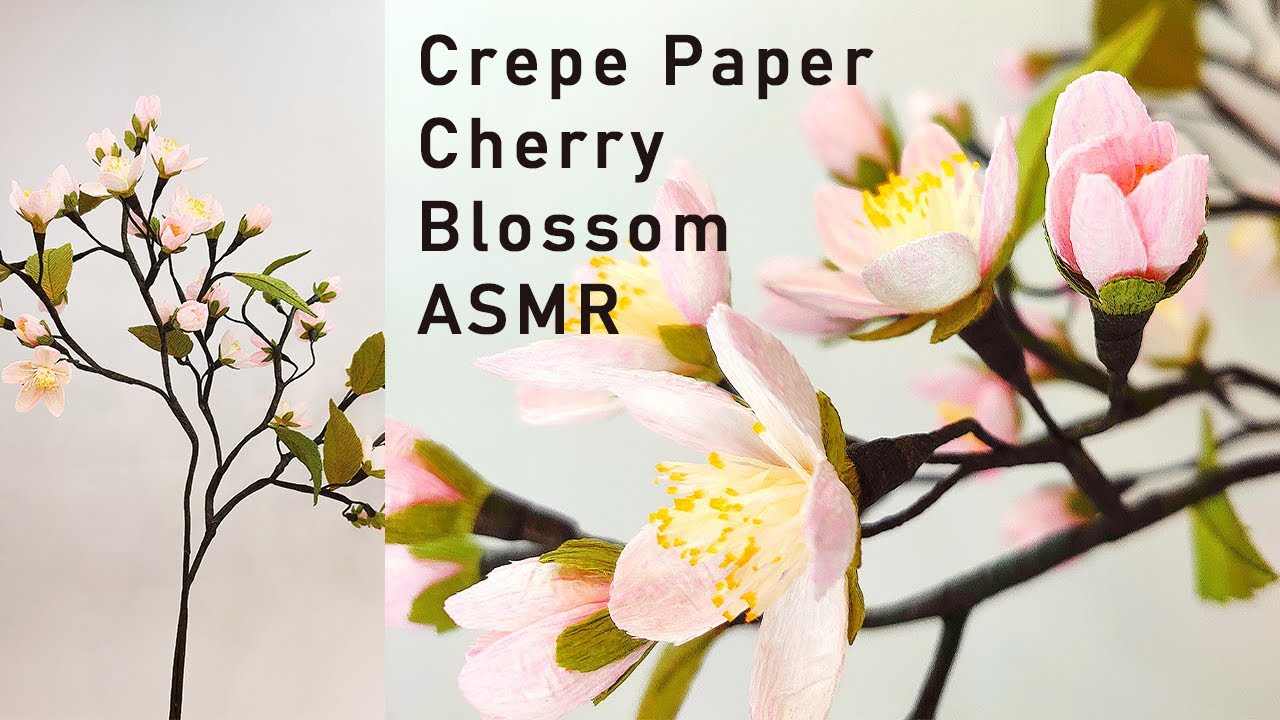Making Crepe Paper Cherry Blossom ASMR Edition
