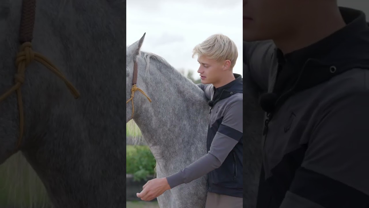 Ever wondered how to start with trick training? Our new video gives you all the answers 🐴✔️🎬