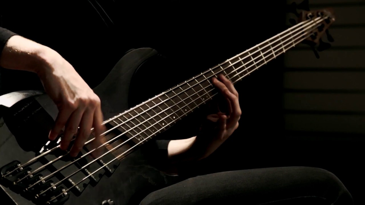 FLESHMEADOW - Isolation (Bass Playthrough)