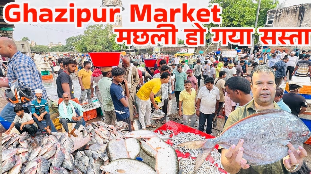 Wholesale Fish Market In Delhi| Ghazipur Fish Market |गाजीपुर मछली मंडी |Indian Fish Market Delhi |
