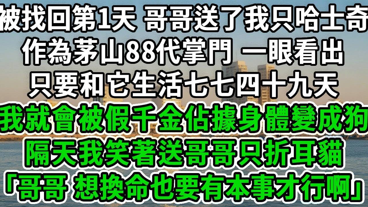 被找回第1天，哥哥送了我只哈士奇，作為茅山88代掌門，一眼看出，只要和它生活七七四十九天，我就會被假千金佔據身體變成狗，隔天我笑著送哥哥只折耳貓：「哥哥 想換命也要有本事才行啊」#风起云涌 #爽文