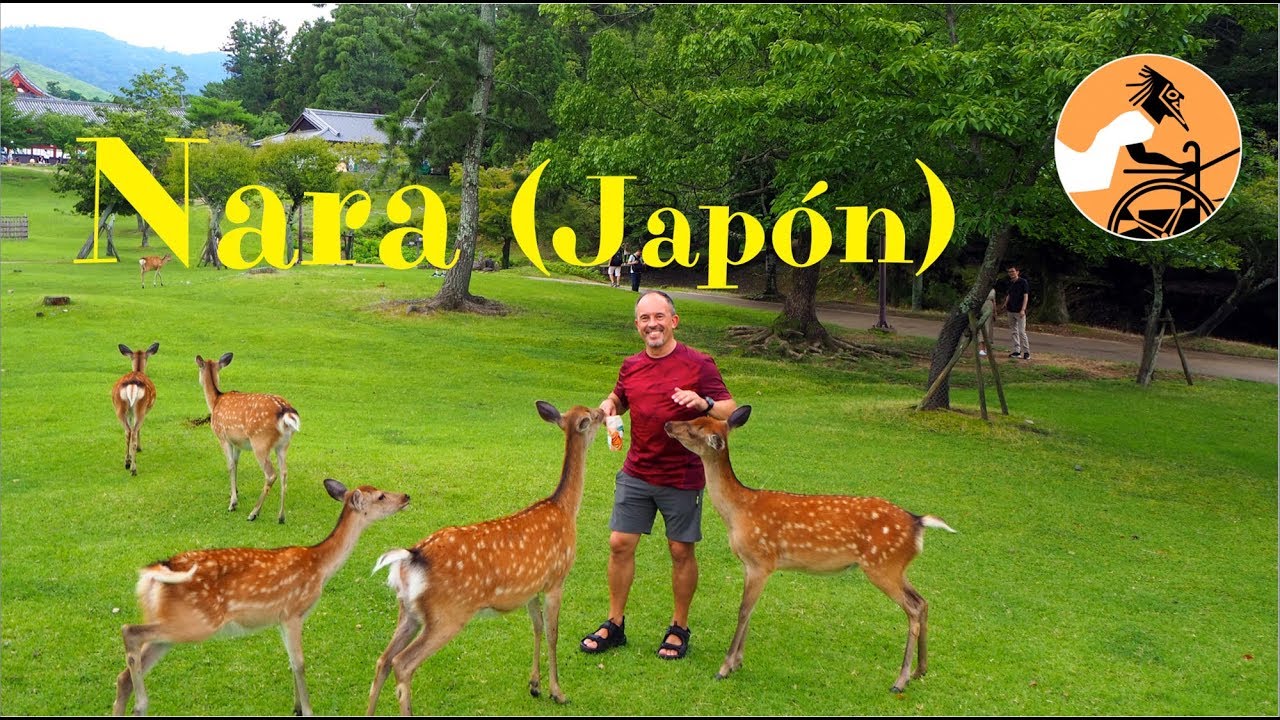 Nara (Japón) · El Auriga del Arte