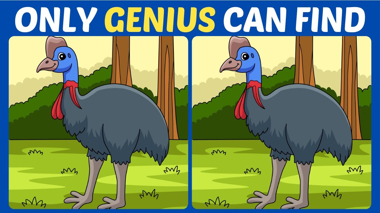 【Spot the difference】🔥Only genius can find all in 90seconds!! 【Find the differences】