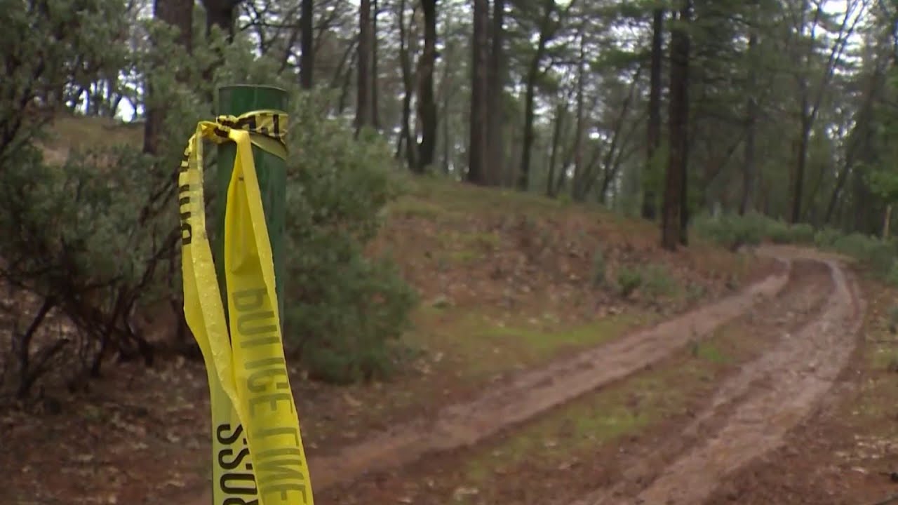 Hiker in Colorado killed in suspected mountain lion attack
