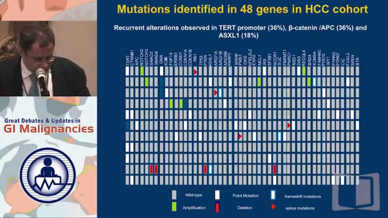 Update 14:  Recent advances in management of advanced Hepatocellular Carcinoma (HCC)