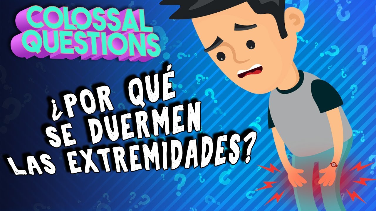 &iquest;Por qu&eacute; se 